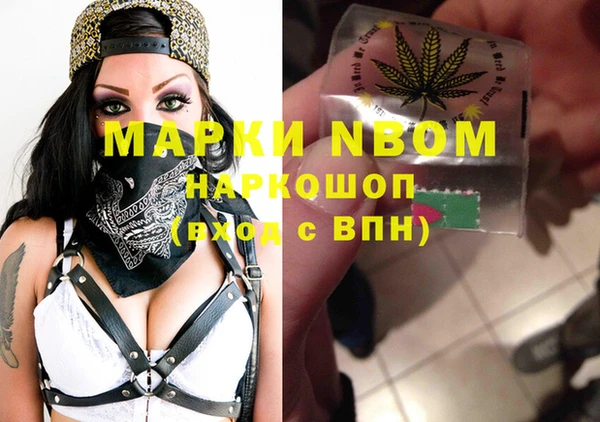 apvp Няндома