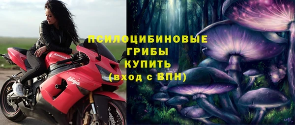 прущая мука Арсеньев