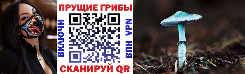 хочу   Струнино  Галлюциногенные грибы Cubensis 